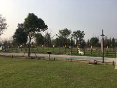-田园东方蜜桃村的田野营地