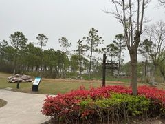 -春花秋色城市公园