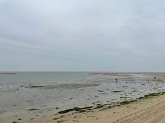 -北海金海湾红树林生态旅游区