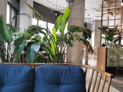 -The Rug Cafe(王府中环店)