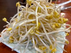 井水豆芽-刘胖娃鱼庄·特色肥肠鱼(杨家坪店)