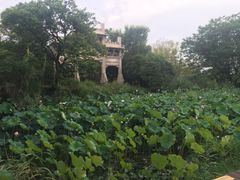 -春暖花开(西溪店)