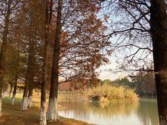 -艾溪湖湿地公园