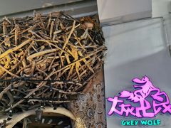 -大灰狼(中心书城店)