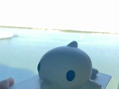 -抱抱地球咖啡馆(国家海洋博物馆店)