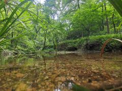 -波尔登森林公园