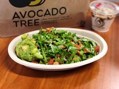 -油梨树AVOCADO TREE(嘉里中心店)