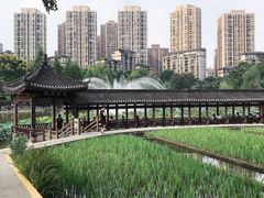 -龙头寺公园