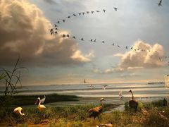-中国湿地博物馆