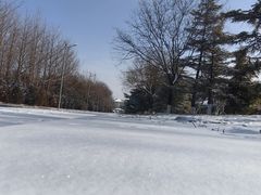 -中国人民抗日战争纪念雕塑园