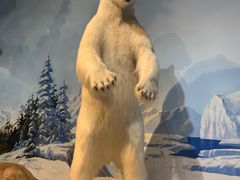 -陕西自然博物馆