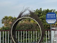 -巨鹏飞梦幻海岸