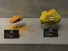 -甘肃地质博物馆