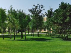 -亿利库布其七星湖沙漠生态旅游区