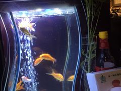 -金枝玉叶上海人家食府(三里河店)