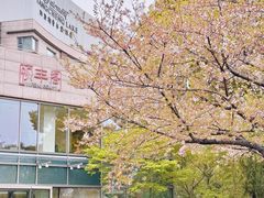 -阳澄湖费尔蒙酒店