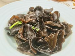 凉拌野生木耳-太兴餐厅(东方广场分店)