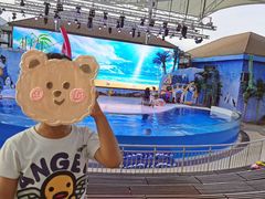 -三亚海昌梦幻海洋不夜城