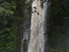 -莫里热带雨林景区