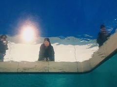 -金泽21世纪美术馆