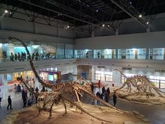 -自贡恐龙博物馆