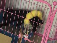 -纳吉亚猫专科动物医院博雅分院