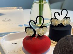 -BLACKSWAN黑天鹅(环球店)