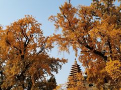 -北京石刻艺术博物馆(五塔寺)