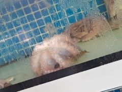 -阿伍海鲜大排档(塔湾金沙店)