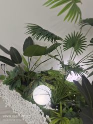 -HEYAN荷妍专业脱毛连锁机构