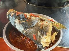 -老杨砂锅鱼庄