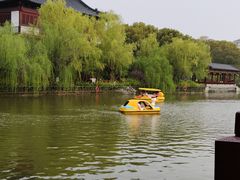 -南汇桃花村