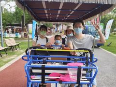 -上海长兴岛郊野公园