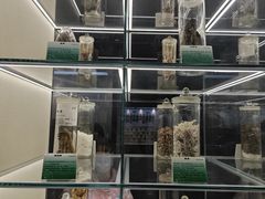 -广东中医药博物馆