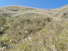 -萍乡武功山风景名胜区