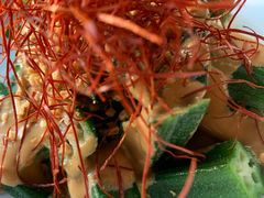 -里面·Noodlology(机电院店)