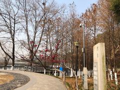-月湖风景区