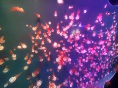 -石家庄极地海洋世界