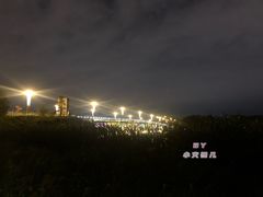 -南湖大桥