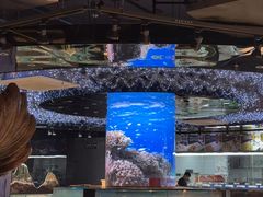 -新阿布海鲜大酒店