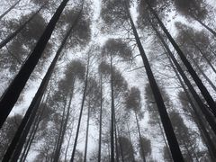 -山王坪喀斯特国家生态公园