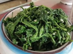 凉拌桑叶-驴百味(赵县店)