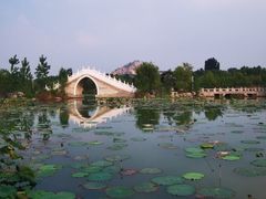 -南湖国家城市湿地公园