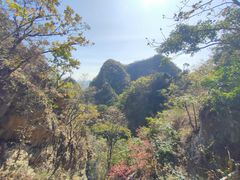 -大连天门山国家森林公园