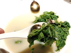 上汤桑叶芽-花锅速食(日月广场店)