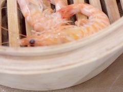 -良友·海鲜青岛菜·海肠捞饭(五四广场店)