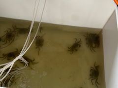 -君豪蟹都·湖景·农家乐(蟹舫苑店)