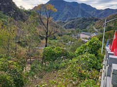 -大岭沟猕猴桃谷风景区