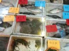 都是海鲜-林记象山海鲜(广灵二路店)