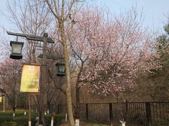 -西安汉城湖景区